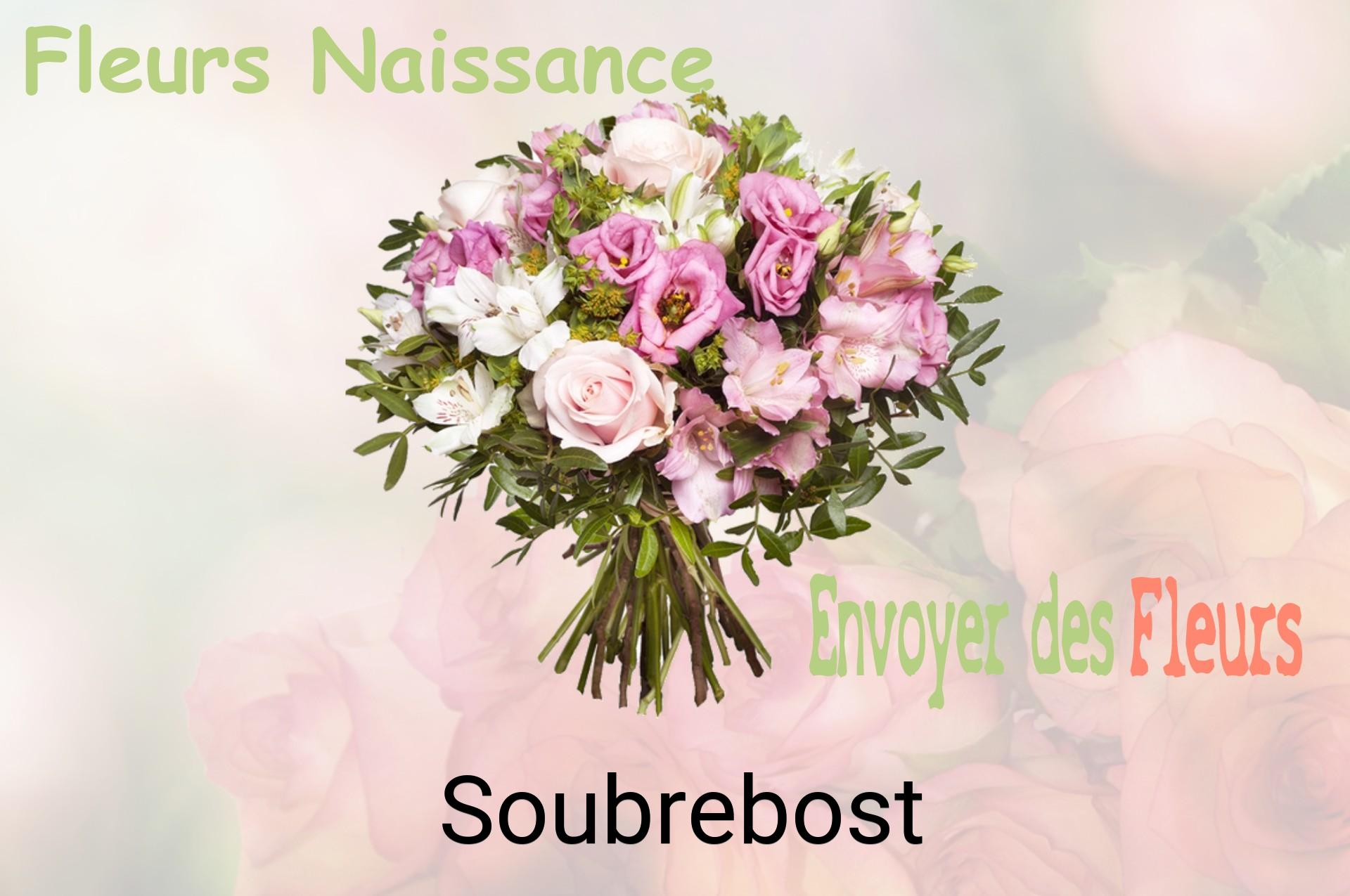 Bouquet de fleurs de naissance livré à Soubrebost