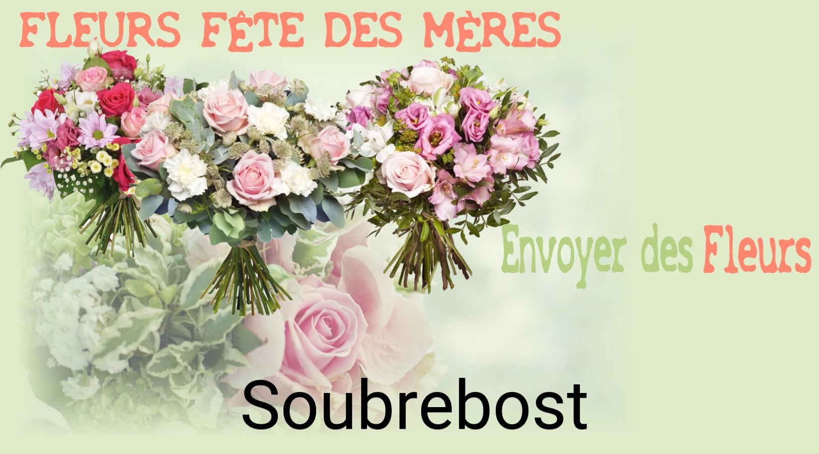 Bouquet de Fête des Mères livré à Soubrebost